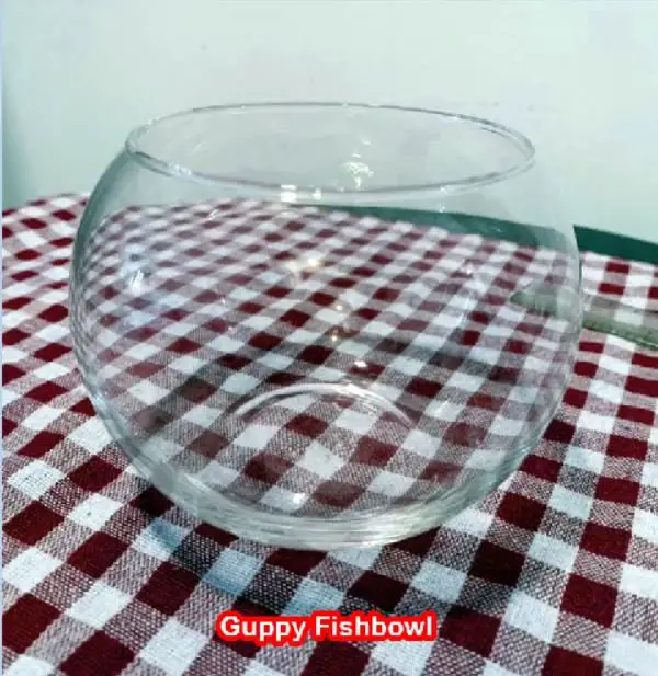 do I oxygenate my guppy fishbowl?