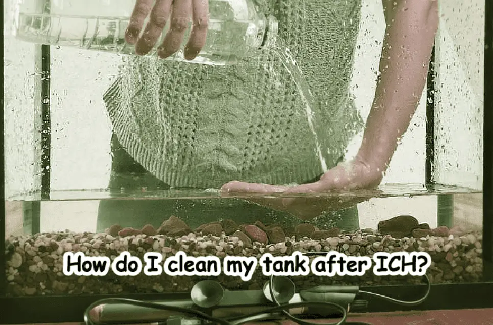 How do I clean my tank after Ich?