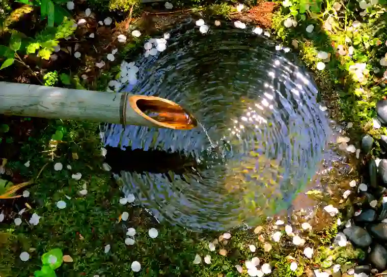 Can You Use Spring Water for the Tetra Tank