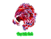 Tiny fish tank- logo
